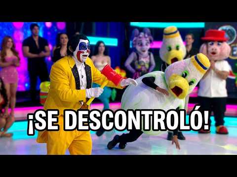 Peneko presenta a sus nuevas botargas | Es Show