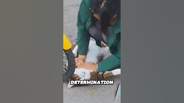 Ze voert reanimatie uit om een ​​bewusteloze kat te redden ❤️