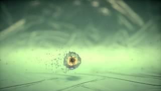 icoSphere