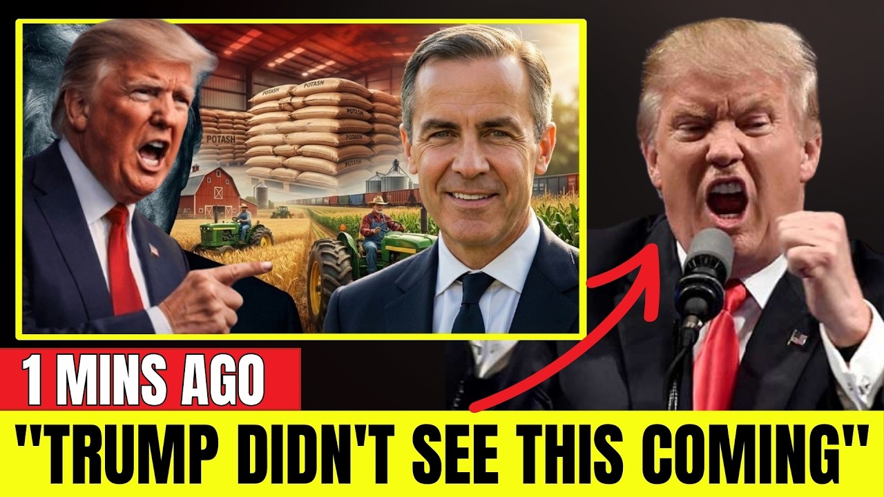 JUST NOW:Canada Knew Before Anyone Else — And Trump Just Ran Out of Legal Time