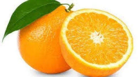 Making the Game- Cheese Chase in Scratch (Part 4)