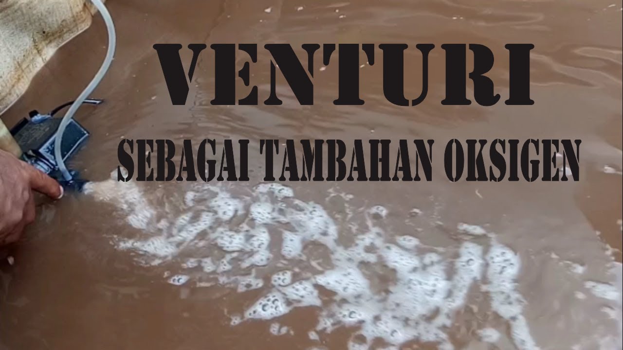 Venturi sebagai tambahan oksigen - YouTube