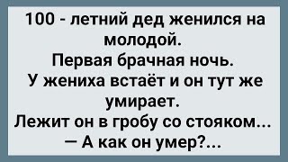 100 - Летний Дед Женился На Молодой! Сборник Свежих Анекдотов! Юмор!