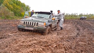 :     PRADO, PATROL, CHEROKEE  AUDI