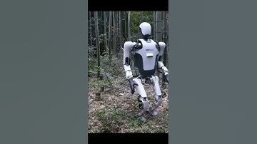 New Chinese humanoid robots|Here