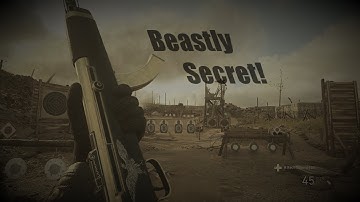 Secretly Beast Setup!?!? Cod WW2 Class set up(Orso Smg)