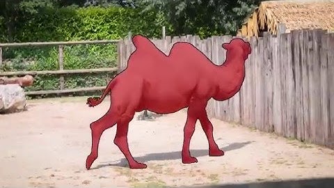 A Benchmark Dataset and Evaluation Methodology for Video Object Segmentation