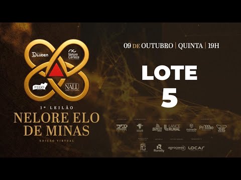 LOTE 5 FHGA 474