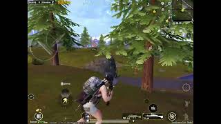 Chicken dinner in pubg mobile.