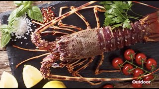 Fishmonger — All About California Spiny Lobsters