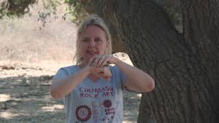 Abalone pt 1: Facts and Chumash Uses