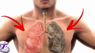 طريقة علمية لتنظيف الرئتين من اثار التدخين حتى لو استمريت با التدخين