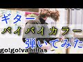 go!go!vanillas - バイバイカラー(guitar cover)