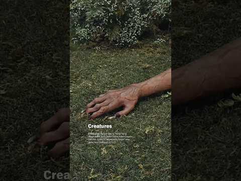LE SSERAFIM (르세라핌) ‘PUREFLOW’ pt.1 HIGHLIGHT MEDLEY - Creatures