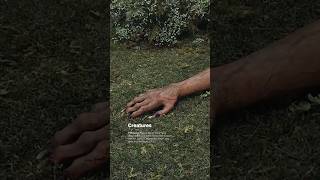 LE SSERAFIM (르세라핌) ‘PUREFLOW’ pt.1 HIGHLIGHT MEDLEY - Creatures