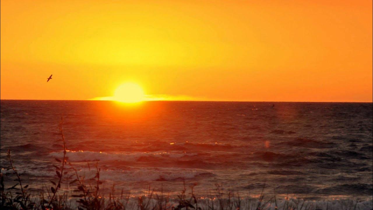slow-music-e-g-for-cool-down-after-working-out-relaxdaily-n-022