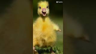 Mi̇lyon Versen Deeği̇smez