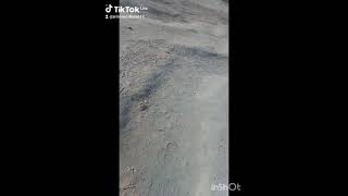 Kwamamaza.umukamdinda.w.e.f.p.r.ingasanze.birashyushye.nahogukorababihagaritse.