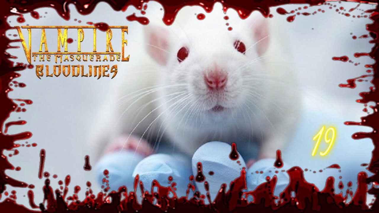 крысы vampires