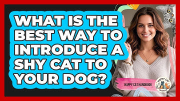 What Is The Best Way To Introduce A Shy Cat To Your Dog? - Happy Cat Handbook