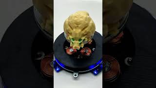 Lootbug Spin