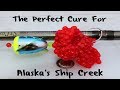 How To Cure Chinook Eggs For Alaska's Ship Creek