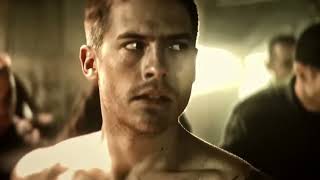 Demando - Black Rose | Beautiful Disaster Scenes