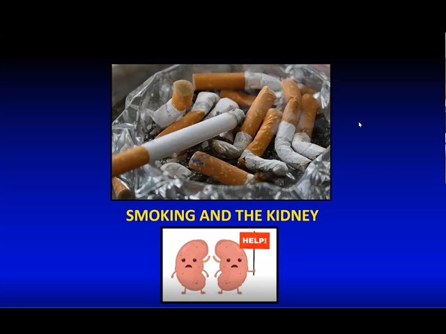 tobacco kidney  World No Day tobacco and kidney stones Does