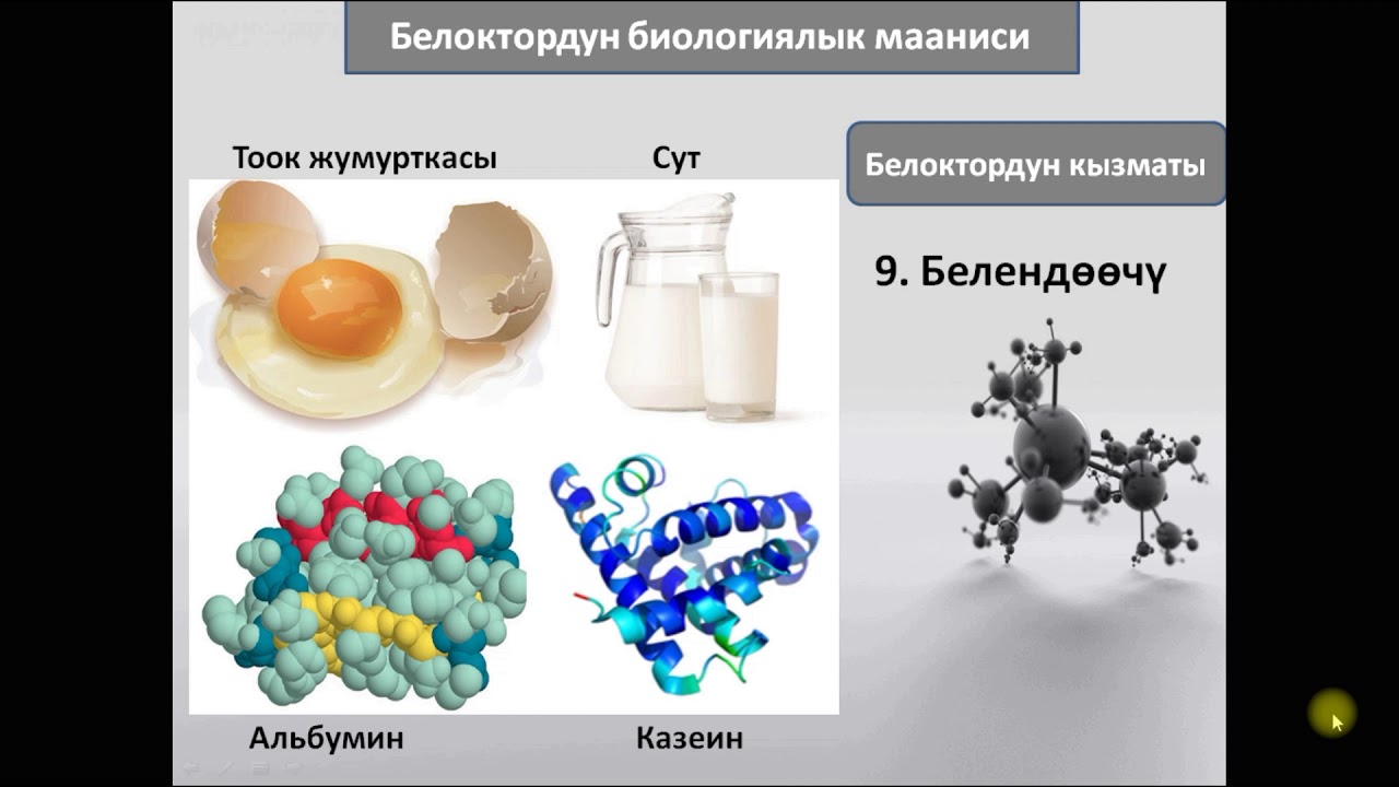 Химия . Онлайн сабак. Белоктор. Базаркулова Нурсыйда.