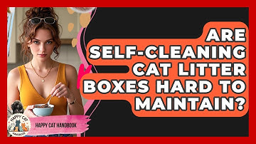 Are Self-cleaning Cat Litter Boxes Hard To Maintain? - Happy Cat Handbook