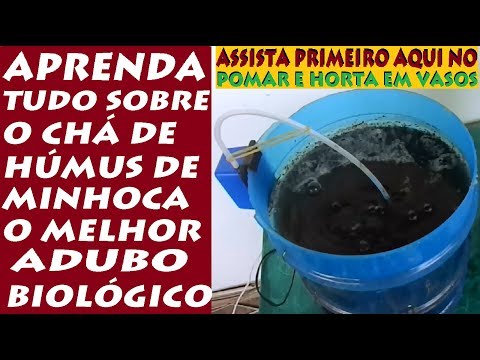 Vídeo: Chá de minhoca para plantas - dicas para aplicar chá de minhoca em jardins