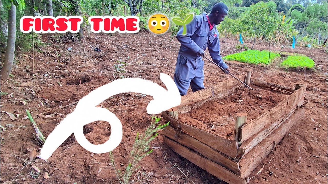 Строю свою первую приподнятую грядку 🌱 | Сделай сам на деревенской ферме