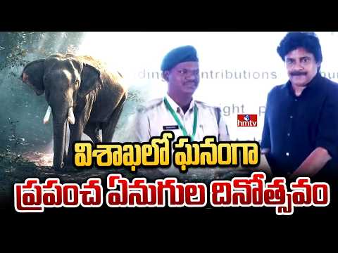 విశాఖలో ఘనంగా ప్రపంచ ఏనుగుల దినోత్సవం | Pawan Kalyan Attends World Elephant Day | hmtv - HMTVNEWS