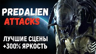 ЧУЖЕХИЩНИК атакует! ЛУЧШИЕ сцены + 300% ЯРКОСТЬ (PREDALIEN attacks! BEST scenes +300% BRIGHTNESS)