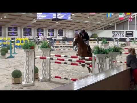 Igor - CSI2** Kronenberg - 22 10 2023 Igor - CSI2** Kronenberg - 22 10 2023