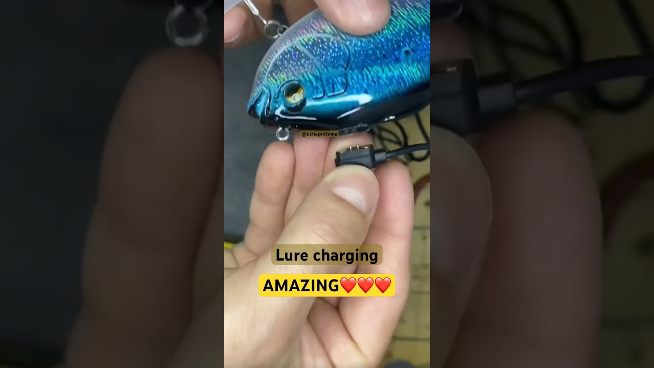 WOW AMAZING🔥Lure bait can be charged and can move by it self in water