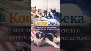 Пять раз возвращалась в горящий дом за своими детьми 🥹