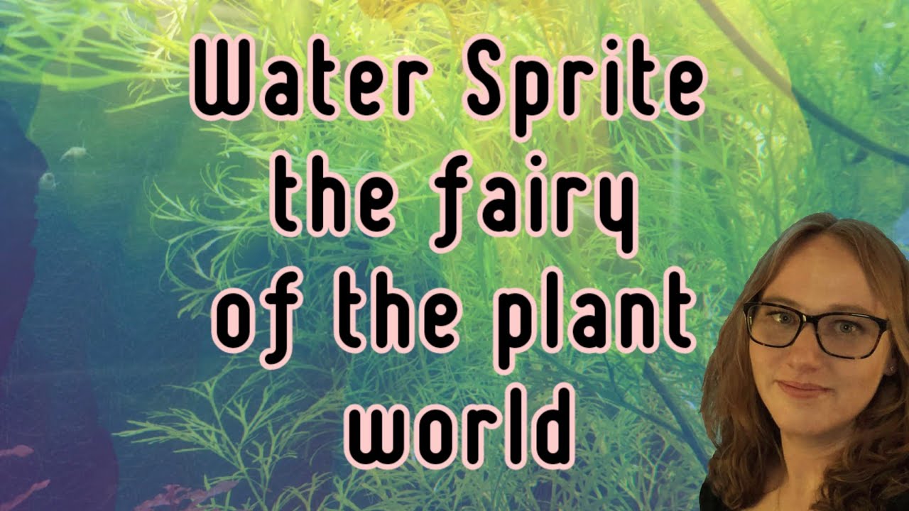 Water Sprite