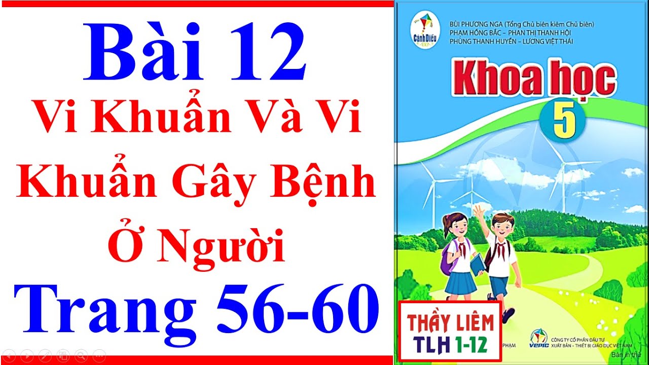 Video Khoa Học Lớp 5 Bài 12 | Vi Khuẩn Và Vi Khuẩn Gây Bệnh Ở Người | Trang 56 – 60 | Cánh Diều - youtube