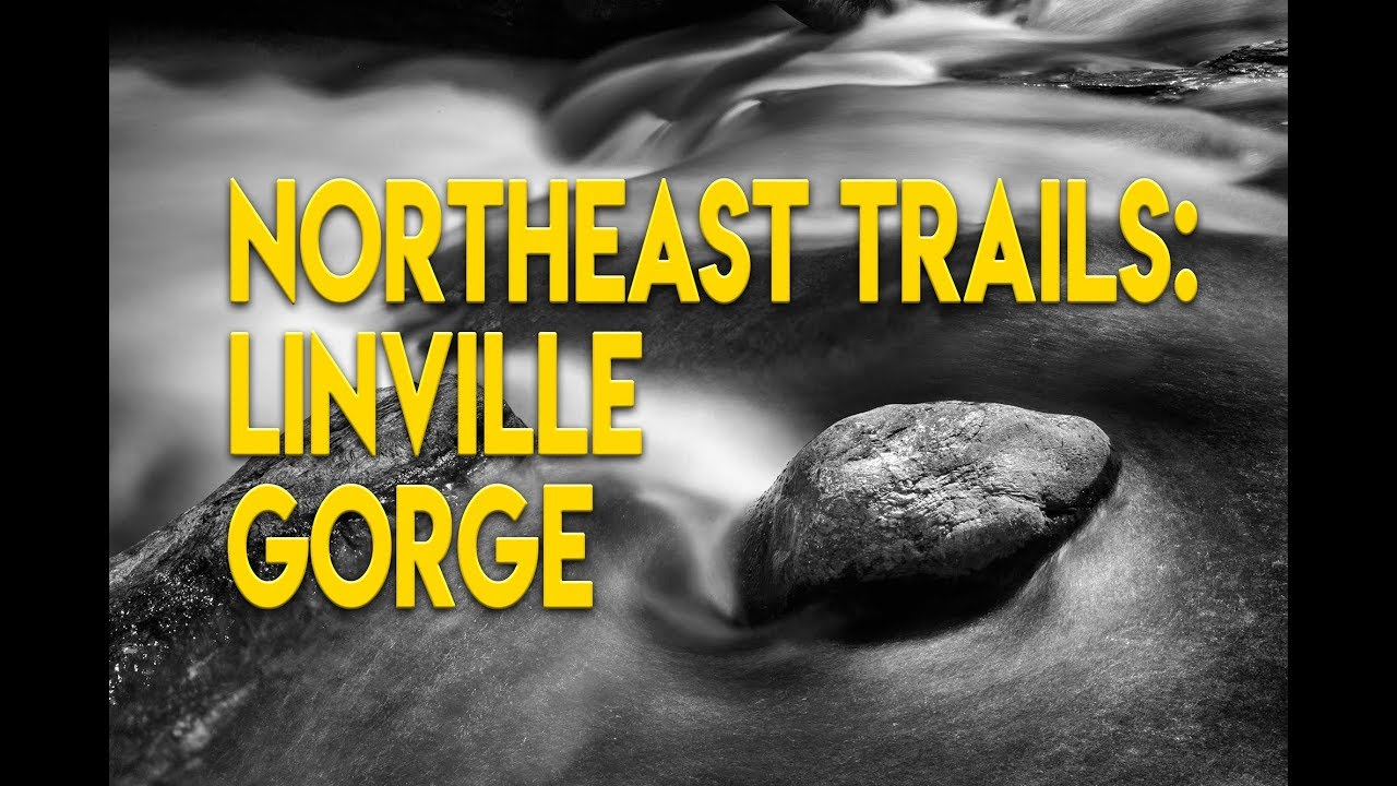 Linville Gorge Northeast Quadrant Hike, March 2019