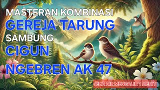 Masteran kombinasi gereja sambung cigun bren ak 47 jeda 1 menit