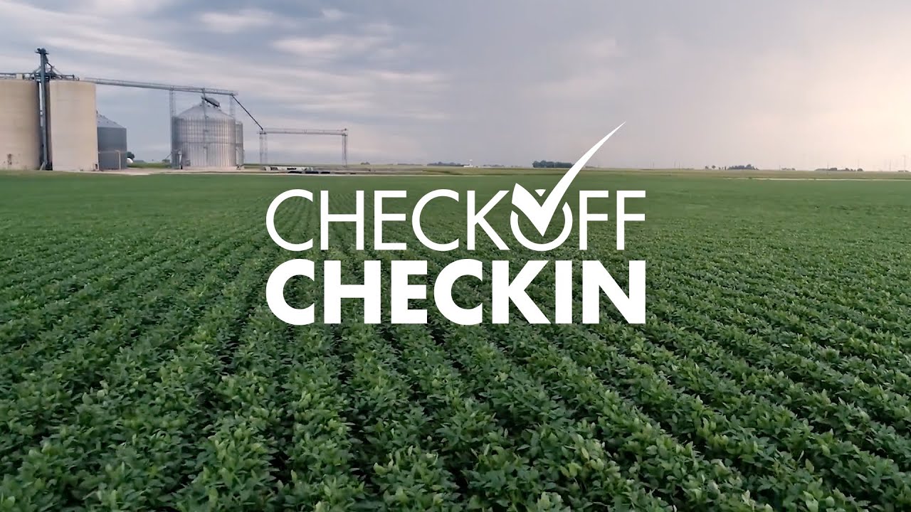 Bean Market Insights Mellette, South Dakota YouTube