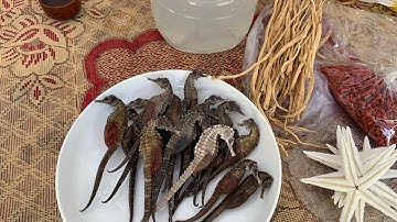 Cách ngâm rượu cá ngựa tốt cho sức khỏe và phân biệt cá ngựa thật chất lượng|dandacodo #38