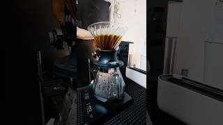 15gr for 225gr, first time using hario switch with full arabica Jayawijaya #coffee #v60 #arabica
