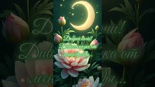 Доброй ночи!🌸 Дивная сказка от лесной дриады…🌿🌙 #shorts #Добрыепожелания!💖🌸 #добройночи