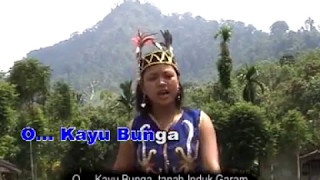 LAGU DAYAK SIMPAKNG - TONAH INO' GARAPM