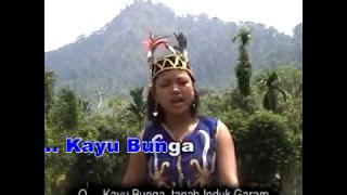 LAGU DAYAK SIMPAKNG - TONAH INO' GARAPM