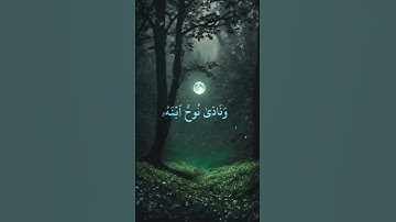 قران كريم راحة نفسية 🕊️☁️❤️ #قرآن #اكسبلور #لايك