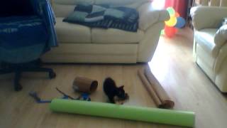 Capture 20120604 34