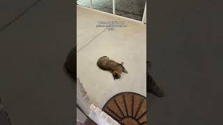 Shes Soo Happy With Her New Home